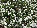 Click to see YIMG_0422.JPG