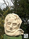 Click to see YIMG_0442.JPG