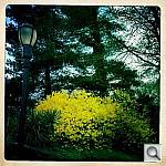 Click to see YIMG_0526.JPG