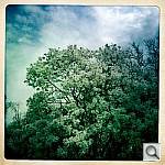 Click to see YIMG_0538.JPG