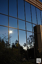 Click to see YIMGP0242.JPG