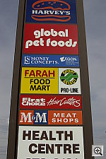 Click to see YYburianIMGP0113.JPG