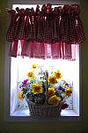 Click to see YIMGP0003.JPG