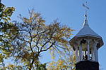 Click to see YIMGP0084.JPG