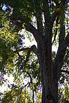 Click to see YIMGP0098.JPG