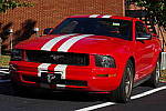 Click to see YIMGP0111.JPG