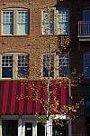 Click to see YIMGP0143.JPG