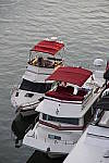 Click to see YIMGP1477.JPG