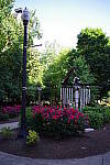 Click to see YIMGP1715.JPG