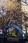 Click to see YIMGP1867.JPG