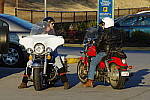 Click to see YIMGP4278.JPG