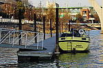 Click to see YIMGP4302.JPG