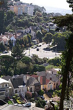 Click to see YPICT0163.JPG