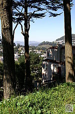 Click to see YPICT0181.JPG