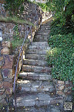 Click to see YPICT0184.JPG