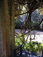 Click to see YPICT0009.JPG