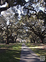 Click to see YPICT0011.JPG