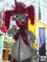 Click to see YPICT0156.JPG