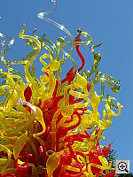 Click to see YPICT0170.JPG