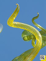 Click to see YPICT0172.JPG