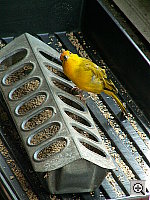 Click to see YPICT0216.JPG