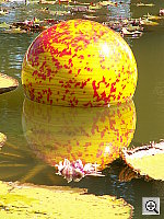 Click to see YPICT0236.JPG