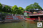 Click to see YIMGP5473.JPG