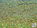 Click to see YDSCN0281_STDCOLOR.JPG