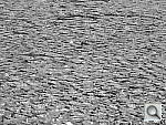 Click to see YDSCN0283_BW.JPG