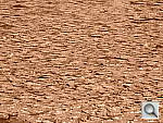 Click to see YDSCN0284_SEPIA.JPG