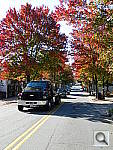 Click to see YDSCN0784.JPG