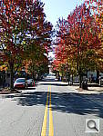 Click to see YDSCN0787.JPG