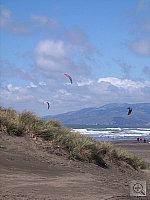 Click to see YSPA50175.JPG