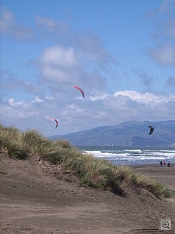 Samsung Digimax L50 digital camera image