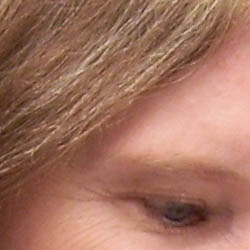 Samsung Digimax L50 digital camera image