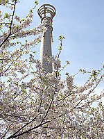 Click to see yEPSN0673.JPG