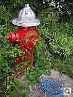 Click to see YSTH70349.JPG