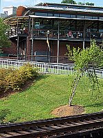 Click to see Y100_0343.JPG