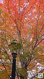 Click to see YP1020076.JPG