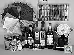 Click to see LZ10hSLCOL_BNW.JPG