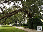 Click to see YP1020105.jpg