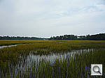 Click to see YP1020108.jpg