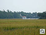 Click to see YP1020111.jpg