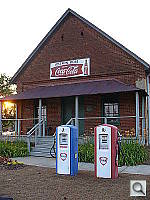 Click to see YP1020303.JPG
