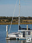 Click to see YP1000537.jpg