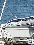 Click to see YP1000538.jpg