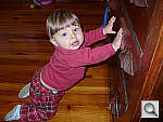 Click to see YP1000548.jpg