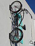 Click to see YP1000573.JPG