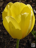 Click to see YM2DSC00042.JPG