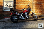Click to see YL1000872.JPG